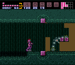 The Worker Bot